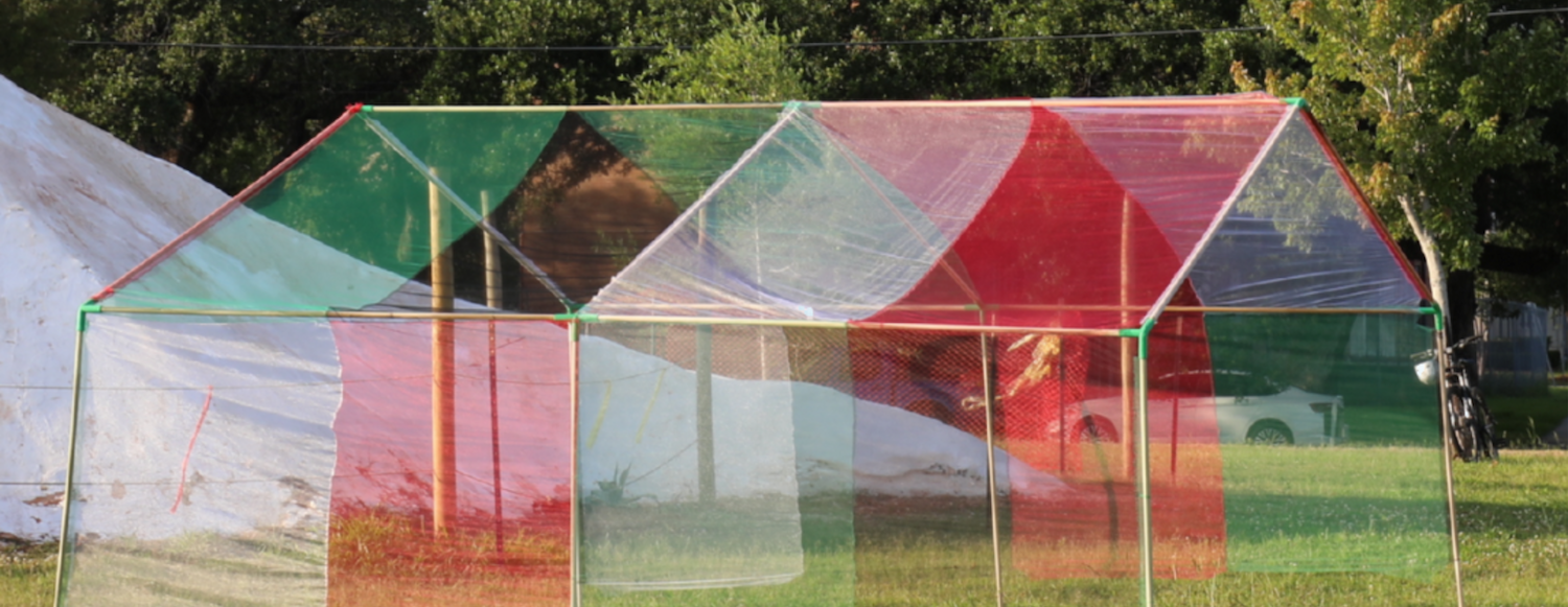 Artmaking Workshop:  Weaving Sites of Palestinian Solidarity
